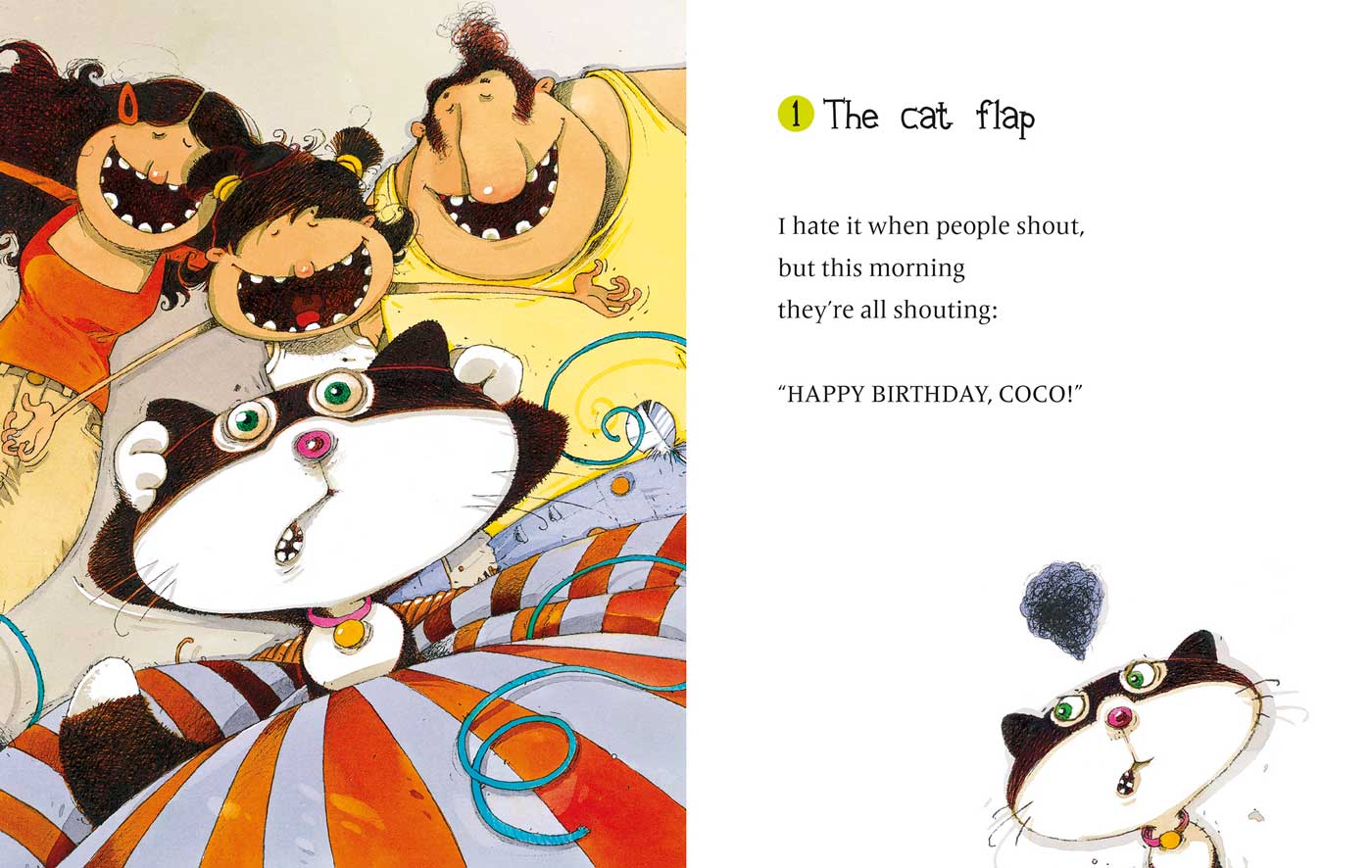 Coco the cat